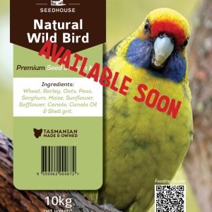 Natural Wild Bird
